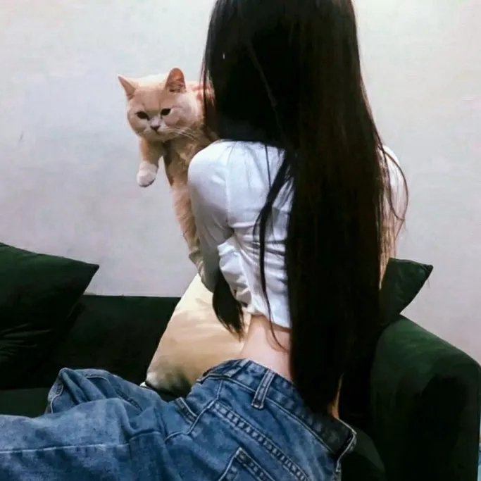 玩情高手